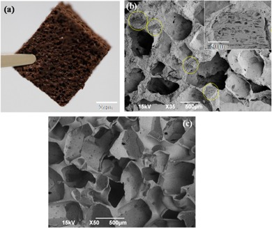 Image: Asmita Chavan et al/ACS Sustainable Chemical and Engineering